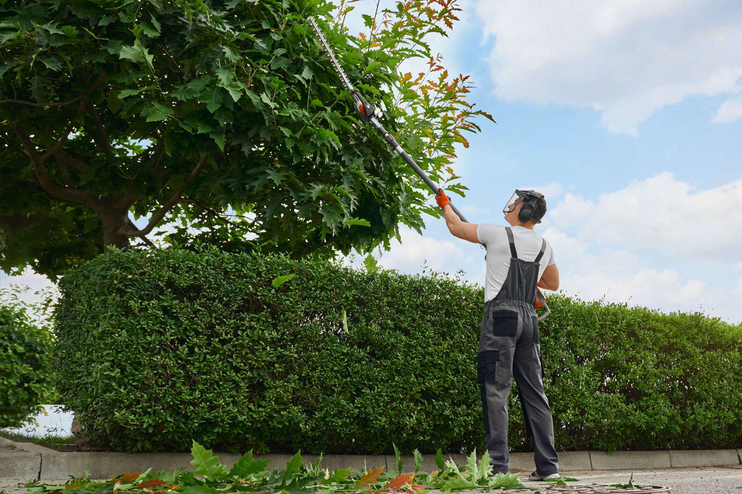 Hedge cutting by OuterSpace Maintenance