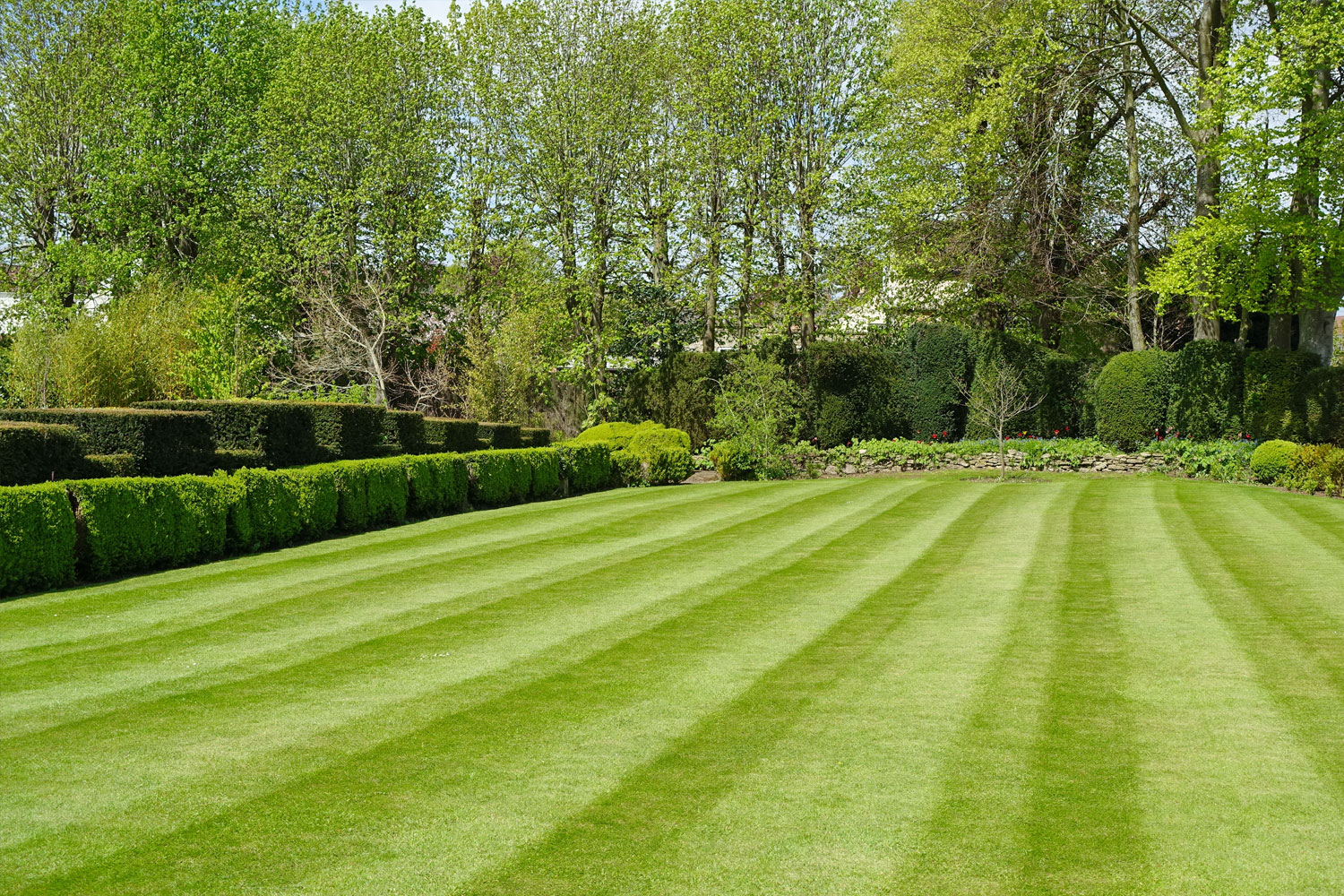Lawn care by OuterSpace Maintenance